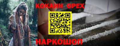 сатива Бузулук