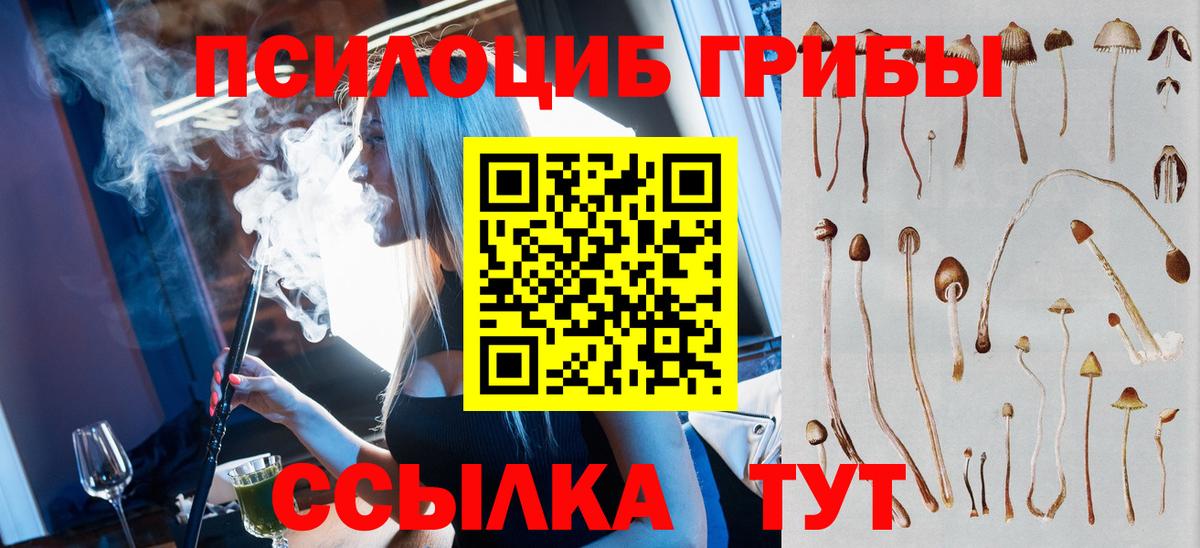 Псилоцибиновые грибы Psilocybe  Псилоцибиновые грибы Magic Shrooms  Ижевск  Вход с VPN 