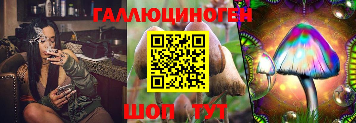 Галлюциногенные грибы Magic Shrooms Ижевск